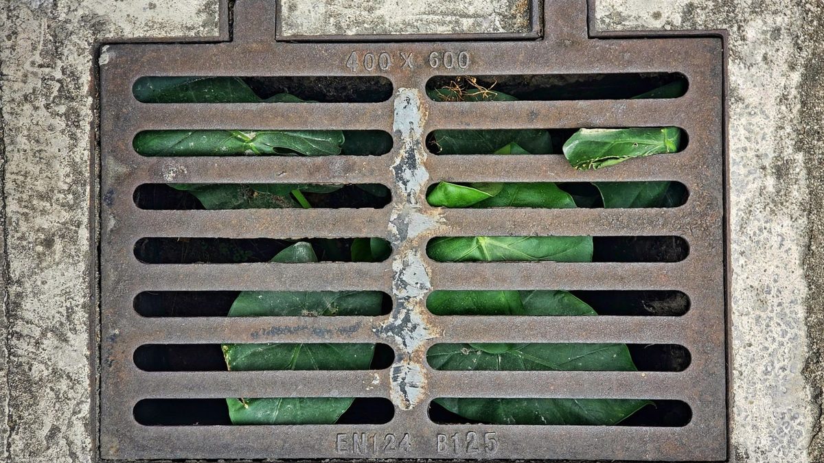 Cast iron sewer cover set into a paved surface